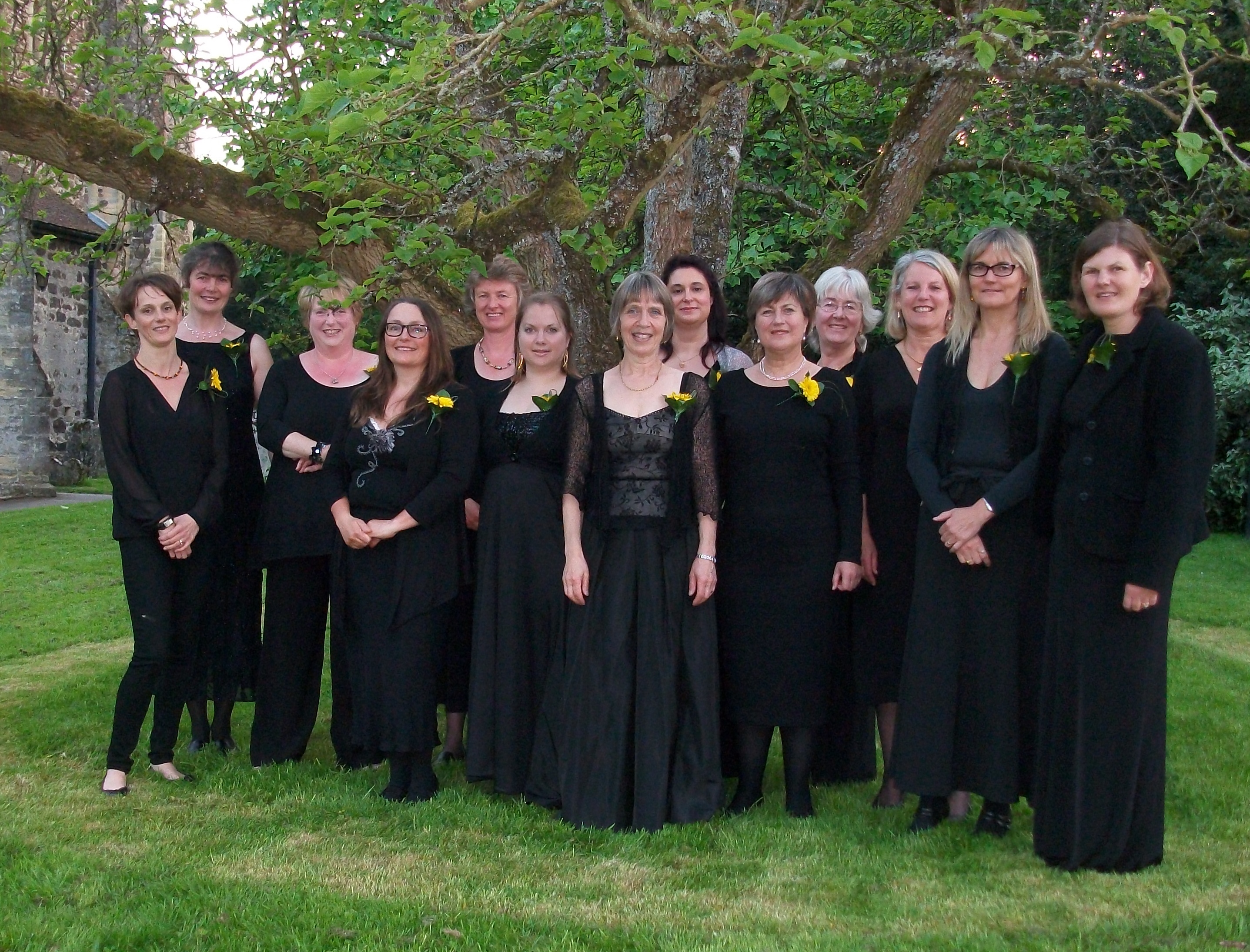 Cantilena choir in 2012
